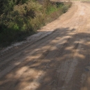 A dirt road with shrubs along the side.