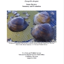 Photo of the title page of the review document