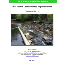 2015 Taneum Creek Steelhead Migration Review
