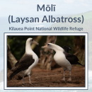 Albatross Life Cycle Classroom Presentation