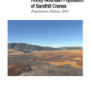 Survey of the Rocky Mountain Population of Greater Sandhill Cranes 2025