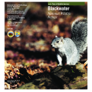 Blackwater NWR General Brochure