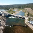 An aerial view of a river with a structure spanning across it. People are in the river with nets, rounding up fish.