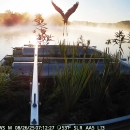 A large heron takes off from a floating platform covered in vegetation