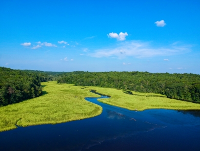 The bright blue water belonging to Cat Point Creek weaves through vivid green wetlands