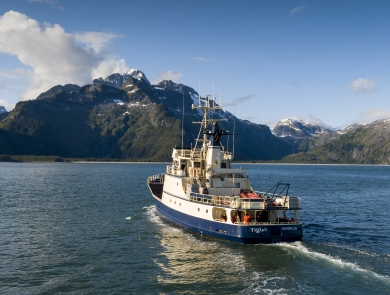 Blue and white ship sails towards land over calm blue waters and a blue sky with a few clouds.