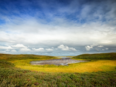 Large pool of water surrounded by low tundra grasses under cloud covered sky.