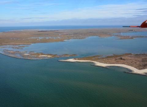 Aerial view of sea and island shows shoreline bolstered by oyster reefs