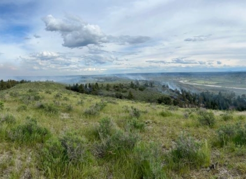 A landscape view of green rolling hills and a small forested section with smoke from a prescribed fire on the landscape. The sky is blue with scattered clouds.