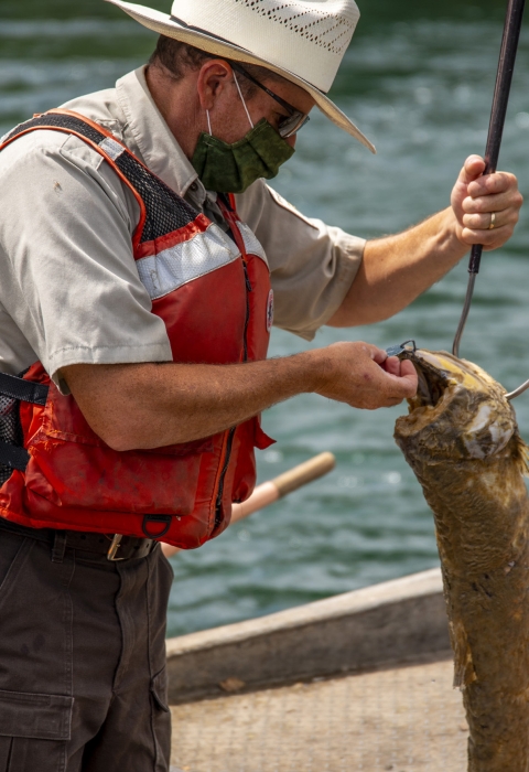 a man in a boat on a river holds a hook with a dead salmon on it.