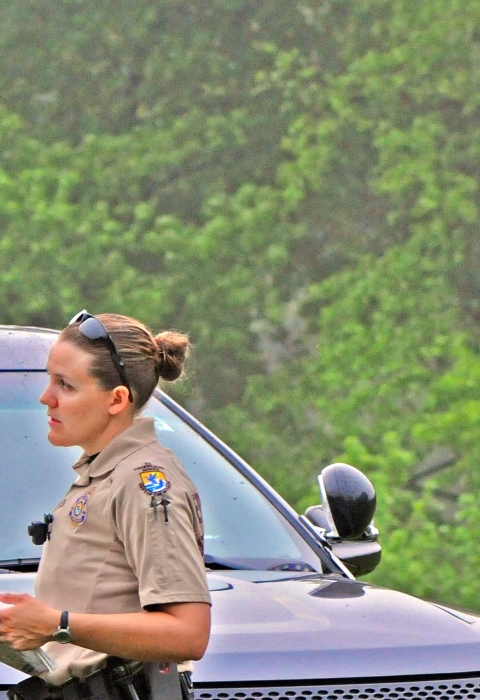 Two law enforcement officers -- a man and a woman -- speaking as the male officer points. They are in front of a police car in a wooded setting.