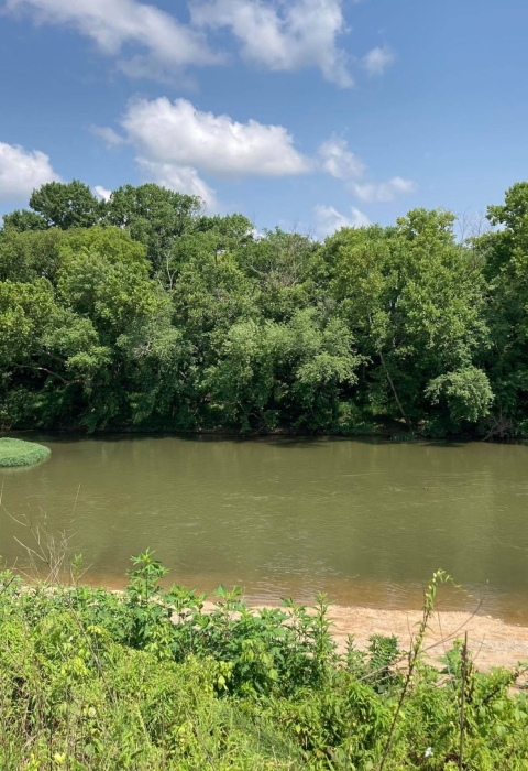 Freshwater mussel collection site on the Duck River
