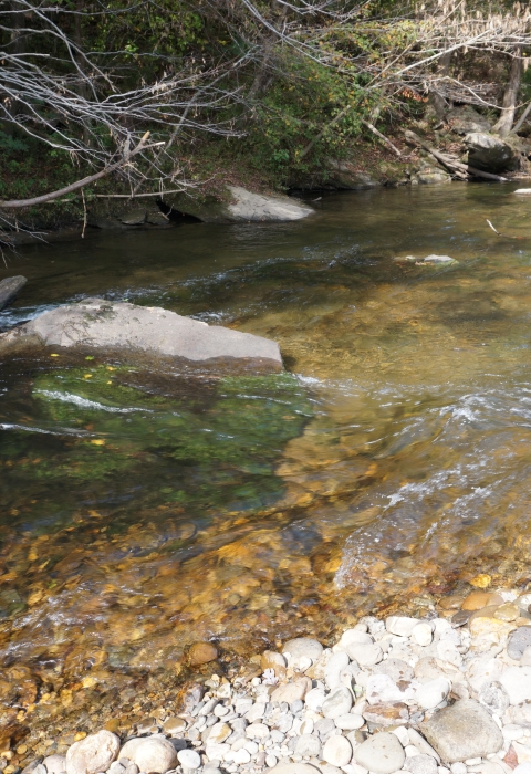 Water flowing in a river