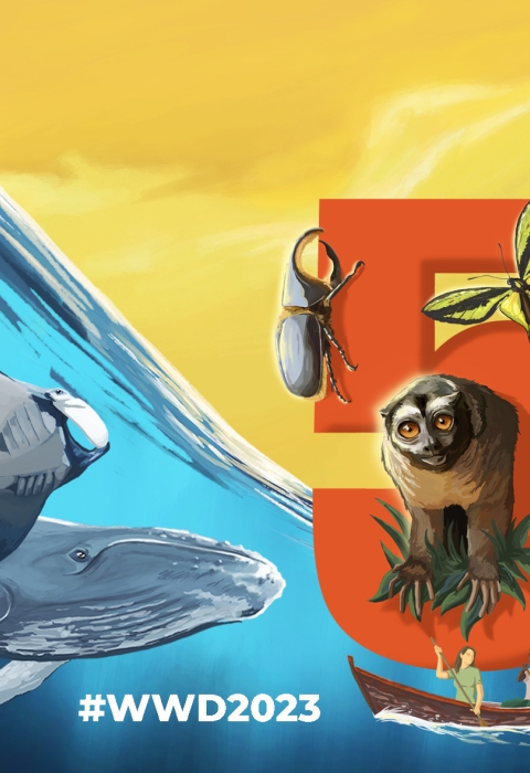 Colorful art showing a whale and manta ray underwater, then a tiger, bird, snake, youth, and the number fifty in front of a yellow sunny sky. Text reads Partnerships for Wildlife Conservation. World Wildlife Day 3 March. #WWD2023