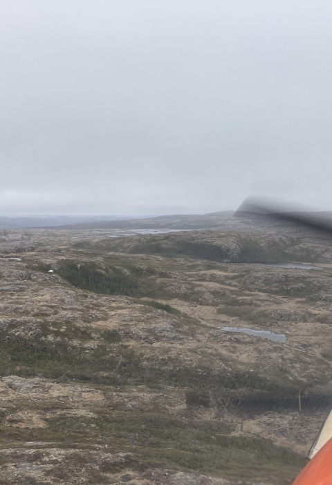 aerial view of wetlands and forest