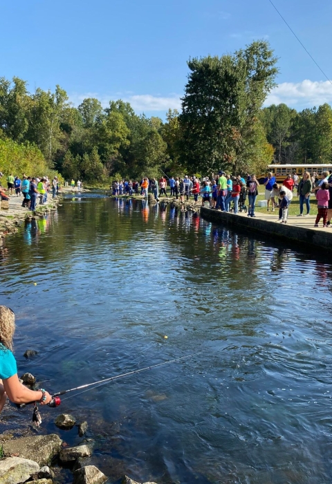 People crowding the banks of a stream on a sunny day