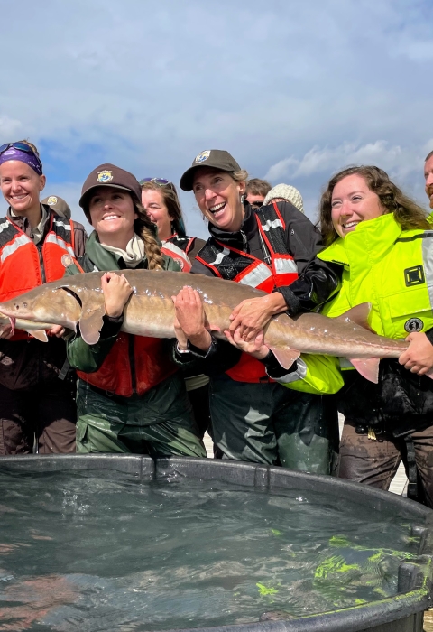 A group of people hold a large fish over a tank of water