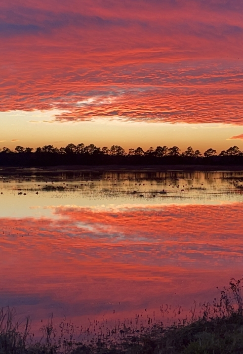 A bank of clouds lit scarlet-purple by sunset reflect on a glassy water surface surrounded by forest.