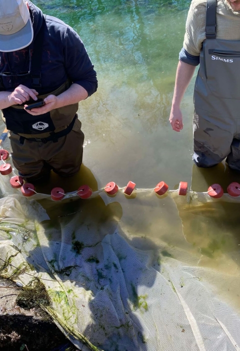 Two people wearing waders in shallow water with seine net