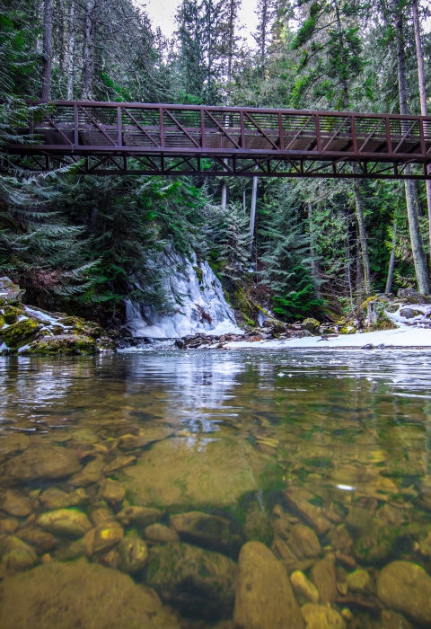 Myrtle Creek flows under a bridge