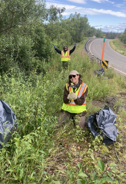 Two people in safety vest smile at camera holding up invasive toadflax on roadside. Trash bags are visible in the foreground from handpulling the invasive plant.