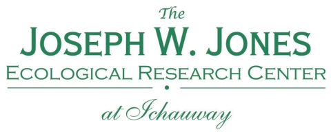 Joseph W. Jones Ecological Research Center Logo Joseph W. Jones Ecological Research Center Logo
