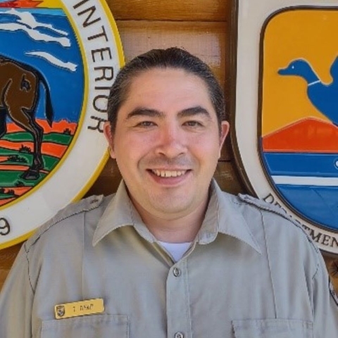 Travis David