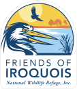 Logo with great blue heron, blue water, and orange sky.