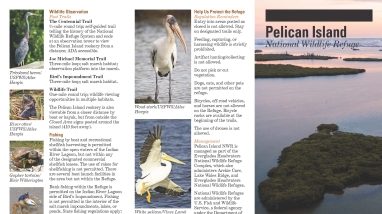 An image of the cover for the refuge brochure.