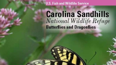An image of the cover for the refuge butterfly and dragonfly brochure.