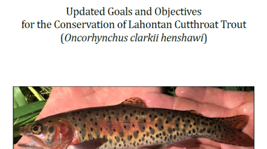 Two images of people holding Lahontan cutthroat trout, a brown, gold and red fish with dark spots.