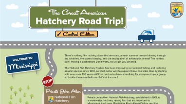 Image contains a graphic of a cartoon-like map. A fish drives a car on a road that winds down the page, stopping at various sites in the hatchery.