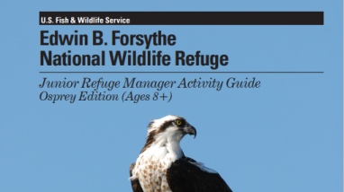 Edwin B. Forsythe National Wildlife Refuge Junior Refuge Manager Activity Guide, Osprey Edition, Ages 8 and up