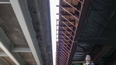 Biologist standing beneath a pair of bridges.