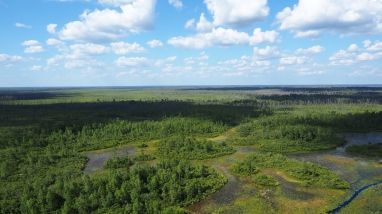 aerial view of swamp prairie with blue sky and clouds 