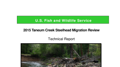 2015 Taneum Creek Steelhead Migration Review