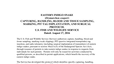 USFWS Eastern Indigo Snake Handling Protocol