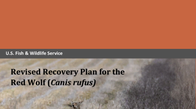 Revised Recovery Plan for Red Wolf