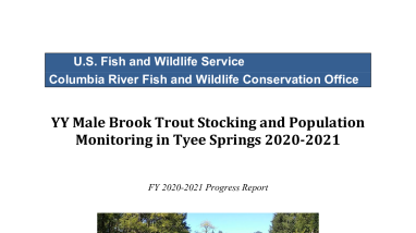 YY Male Brook Trout Stocking and Population Monitoring in Tyee Springs