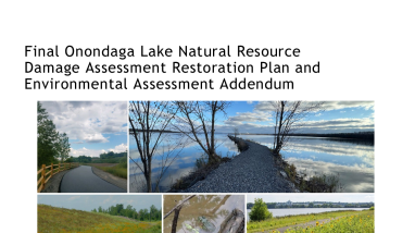 Onondaga Lake NRDAR