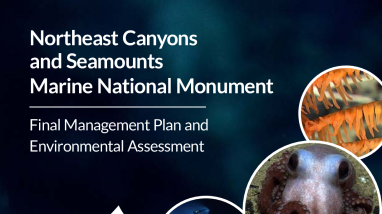 Volume Two: Northeast Canyons and Seamount Marine National Monument Environmental Assessment