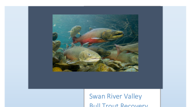 Draft Environmental Assessment for the Swan River Valley Bull Trout Recovery Project Available for Public Comment