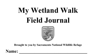 Sacramento National Wildlife Refuge Wetland Walk Field Journal for All Ages