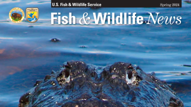 Spring 2024 Fish & Wildlife News