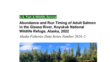 Abundance and Run Timing of Adult Salmon in the Gisasa River, Koyukuk National Wildlife Refuge, Alaska 2022: Alaska Fisheries Data Series Number 2024-2