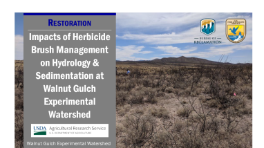 Impacts of Herbicide Brush Management Handout