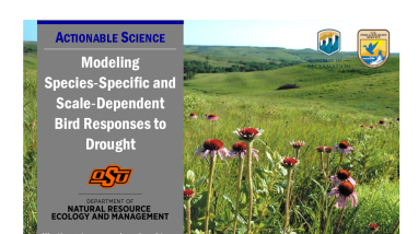 Modeling Bird Responses to Drought Handout
