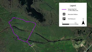 Blackwater NWR Tubman Road Trail Geospatial PDF Map