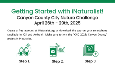 City Nature Challenge iNaturalist Guide - English and Spanish