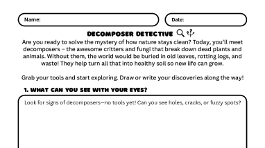Decomposer Detective Take Home Activity in English